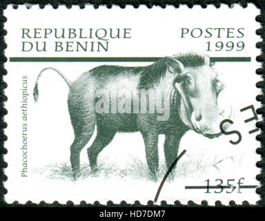 BENIN - CIRCA 1999: Eine Briefmarke gedruckt in Benin, zeigt die Wüste Warzenschwein (Phacochoerus Aethiopicus), circa 1999 Stockfoto