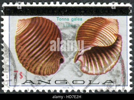 Eine Briefmarke gedruckt in Angola (Aufdruck 1981), zeigt die marine Gastropode Molluske Riesen Tun (Tonna Galea) Stockfoto