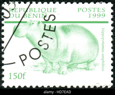 BENIN - CIRCA 1999: Eine Briefmarke gedruckt in Benin, zeigt das Flusspferd (Hippopotamus Amphibius), circa 1999 Stockfoto