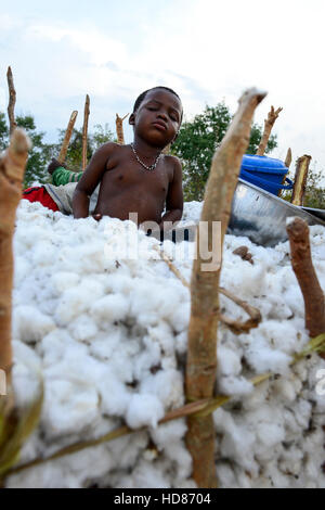 BURKINA FASO, Dorf Soumousso, Baumwollernte, transport von Kindern geernteten Baumwolle mit Eselskarren in ihr Dorf, erschöpften Kinder schlafen im Baumwollfaser / Baumwolle Ernte, Kinder Transportieren Baumwolle Mit Einem Eselkarren Vom Feld in Ihr Dorf, Erschoepfte Kleinkinder Alpenzimmern in der Baumwolle Stockfoto