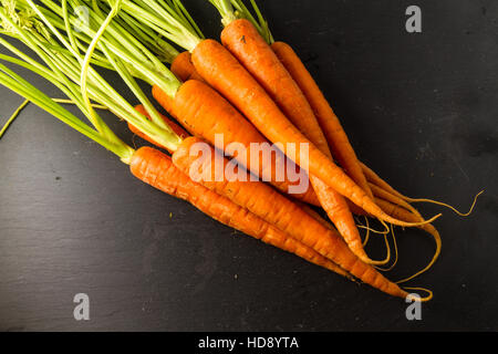 Karotten oder Daucus Carota Haufen mit Blättern auf einem dunklen Schiefer Hintergrund. Stockfoto
