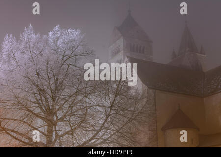 Breisach am Rhein: Münster (Kirche, Kathedrale), Schwarzwald, Schwarzwald, Baden-Württemberg, Deutschland Stockfoto