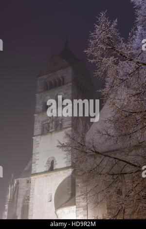 Breisach am Rhein: Münster (Kirche, Kathedrale), Schwarzwald, Schwarzwald, Baden-Württemberg, Deutschland Stockfoto