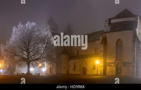 Breisach am Rhein: Münster (Kirche, Kathedrale), Schwarzwald, Schwarzwald, Baden-Württemberg, Deutschland Stockfoto