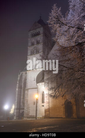 Breisach am Rhein: Münster (Kirche, Kathedrale), Schwarzwald, Schwarzwald, Baden-Württemberg, Deutschland Stockfoto