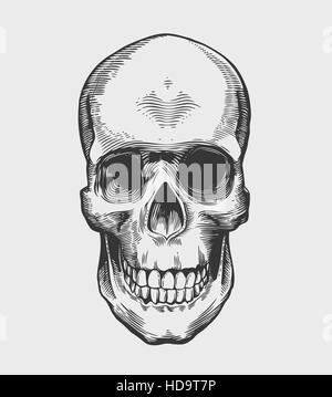 Schädel im Vintage Gravur-Stil. Vektor-Illustration. Stock Vektor