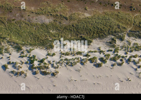 Blick über die Dünen auf Amrum-Insel im Wattenmeer, Nordfriesland, Schleswig-Holstein, Deutschland Stockfoto