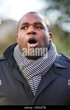 Türkische Botschaft, London, UK 11. Dezember 2016 - David Lammy MP für Tottenham spricht auf der Kundgebung. Hunderte von kurdischen Demonstranten und ihre Unterstützer außerhalb der türkischen Botschaft in London gegen die türkische Regierung Unterdrückung auf die Kurden zu demonstrieren und fordern die Freilassung von zwei verbundenen Führer der Türkei pro-kurdische demokratische Partei (HDP) und m/s und politischen Gefangenen in der Türkei. Bildnachweis: Dinendra Haria/Alamy Live-Nachrichten Stockfoto