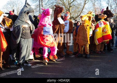 Greenwich, London, UK. 11. Dezember 2016. Menschen verkleidet als kostümierte Pantomime Pferde in der jährlichen London Pantomime Pferderennen in Greenwich, Süd-Ost-London statt teilnehmen. Die Komödie-Rennen findet statt durch die Straßen von Greenwich, mit der "Rennpferde" einander bis zur Ziellinie, Halt an verschiedenen Kneipen und Boxenstopps wie sie für verschiedene Wohltätigkeitsorganisationen zu Weihnachten Geld. Bildnachweis: Vickie Flores/Alamy Live-Nachrichten Stockfoto