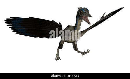 Archaeopteryx Vogel Dinosaurier Landung isoliert in weißem Hintergrund - 3D render Stockfoto