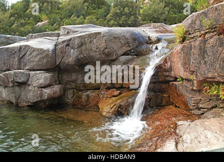 Kaskade fällt über moosige Felsen im tiefen Wald. Stockfoto