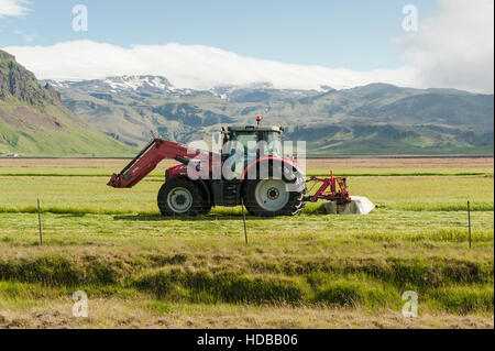 Ein Landwirt erntet Heu als Futtermittel mit einem roten Traktor in Südisland verwendet werden. Stockfoto