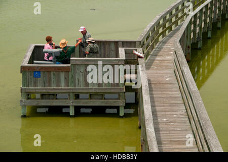 Promenade, Leonabelle Turnbull Birding Center, Port Aransas, Texas anzeigen Stockfoto