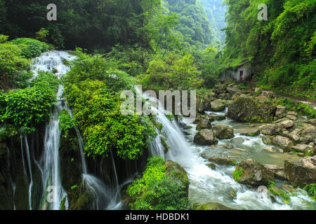 Stamm des drei-Schluchten-malerische Ort Dschungel Wasserfall, China. Stockfoto