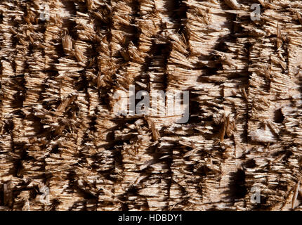 Alten gesäumt Holz, Makroaufnahme, Textur oder Hintergrund Stockfoto