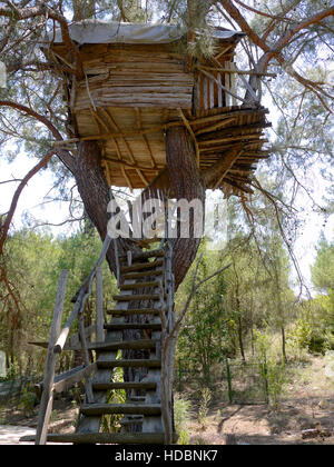 Baumhaus in Olympos, Türkei Stockfoto