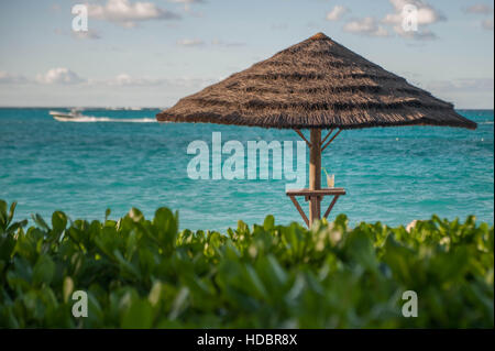 Getränk unter einem strohgedeckten Dach in Turks- und Caicosinseln. Schöne blau, türkis und aquamarinen Wasser/Meer in Grace Bay mit grünem Laub Stockfoto