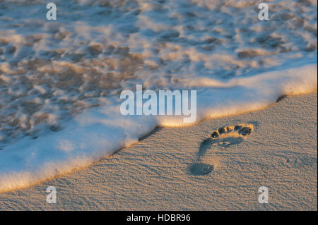 Sonnenuntergang Highlights einer einzelnen Fußabdruck im Sand/Strand am Meer / Ozean in Grace Bay Turks und Caicos | Einsamkeit/tropical Ferienhäuser Stockfoto