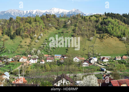 Dorf auf einem grünen Hügel in der Nähe von Kleie, Brasov, Rumänien Stockfoto