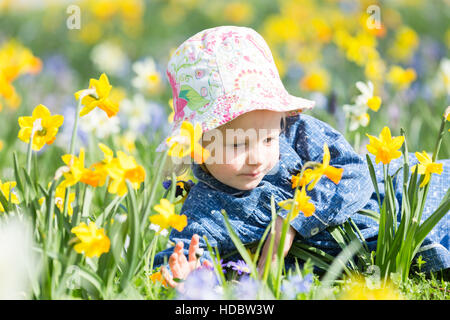 Kleines Mädchen liegt in einer Blumenwiese mit Narzissen, Bodensee, Deutschland Stockfoto