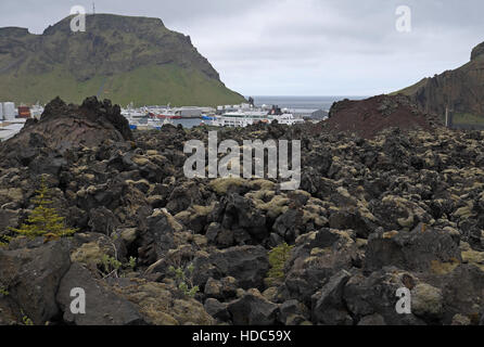 Den Hafen und die Stadt Heimaey, über das Lavafeld, gebildet durch den Ausbruch des Eldfell 1973 Heimaey, Island gesehen. Stockfoto