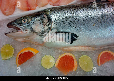 Lachs Fisch auf Eis Stockfoto