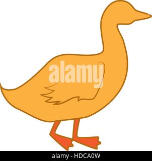 Ente-Tierfarm isoliert Symbol Vektor-Illustration-design Stock Vektor