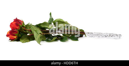 Rosenstrauß rot orange auf weißem Hintergrund isoliert Stockfoto