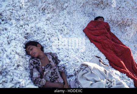 Indien, Madhya Pradesh, Indore, Baumwolle Entkörnen Fabrik, erschöpft Kinderarbeiter schlafen in Baumwolle an der Baumwollkultur Unit Chapra Ltd. Stockfoto