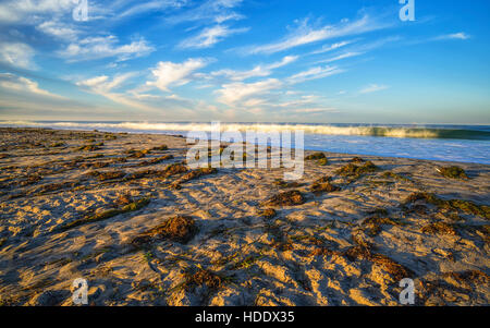 Ponto Strand/Süd Carlsbad State Beach, Carlsbad, Kalifornien, USA. Stockfoto