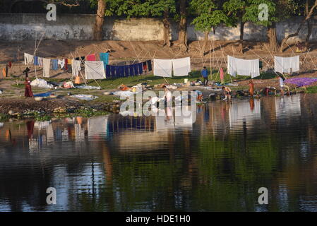 Eine indische Wäscher eine lokale Wäsche waschen von Kleidung am Ufer eines Sees in Muzaffarpur, Indien. Stockfoto