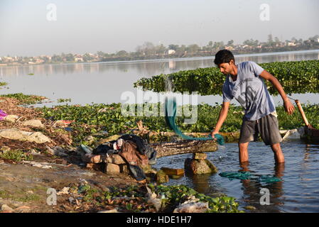 Eine indische Wäscher eine lokale Wäsche waschen von Kleidung am Ufer eines Sees in Muzaffarpur, Indien. Stockfoto