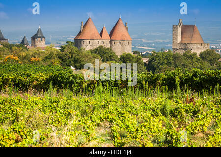 Weinbergen wachsen außerhalb der mittelalterlichen Festung von Carcassonne in Frankreich Stockfoto