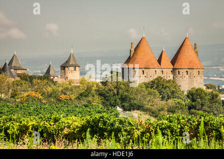 Weinbergen wachsen außerhalb der mittelalterlichen Festung von Carcassonne in Frankreich Stockfoto