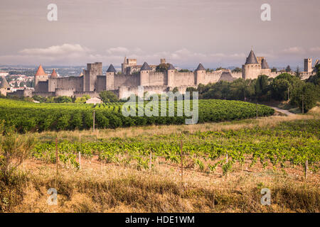 Weinbergen wachsen außerhalb der mittelalterlichen Festung von Carcassonne in Frankreich Stockfoto