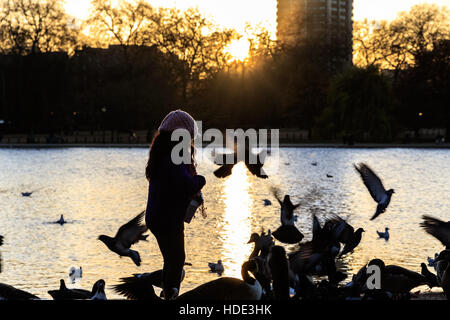 Silhouette eines jungen Fütterung Wildvögel im Hyde Park, London während des Sonnenuntergangs Stockfoto