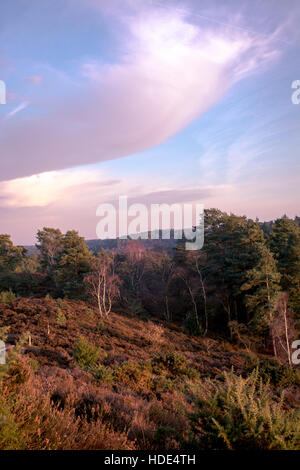 Golden Hour Landschaftsansicht von Stony Jump in Surrey, UK, auf Frensham Common Stockfoto