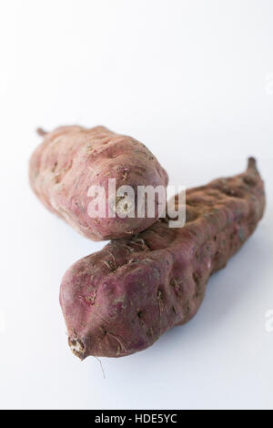 Ipomoea Batatas. Zwei lila Süßkartoffeln auf weißem Hintergrund. Stockfoto