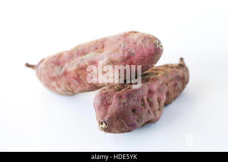 Ipomoea Batatas. Zwei lila Süßkartoffeln auf weißem Hintergrund. Stockfoto