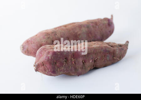 Ipomoea Batatas. Zwei lila Süßkartoffeln auf weißem Hintergrund. Stockfoto