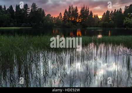 Birsemore Loch in Aboyne, auch bekannt als Königinnen Loch. Stockfoto