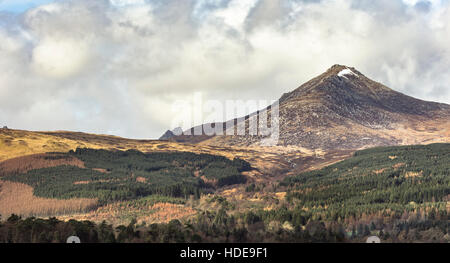 Brodick Wald & Ziege fiel auf der Isle of Arran. Stockfoto