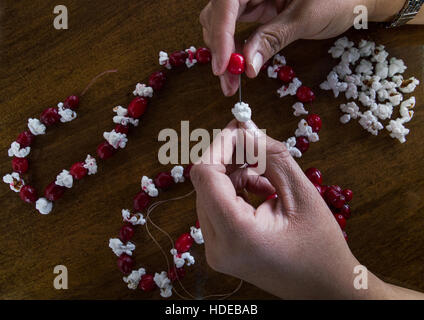 Nahaufnahme von Frauenhand Platzierung Popcorn und eine frische Cranberry auf einer Nadel und Faden Weihnachtsgirlande hinzu. Stockfoto