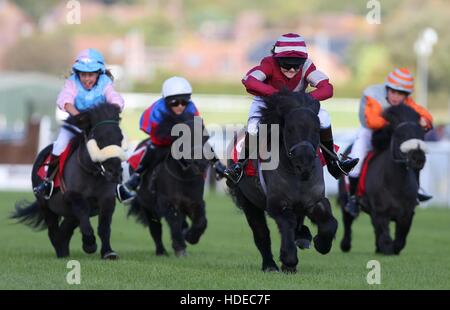 Plumpton, UK. 17. Oktober 2016. Kinvara Garner Reiten Fee Idaho gewinnt den Moorcroft Rennpferd Wohlfahrt Zentrum Shetlandpony Gold Cup in Plumpton Racecourse. © Tele Bilder / Alamy Live News Stockfoto