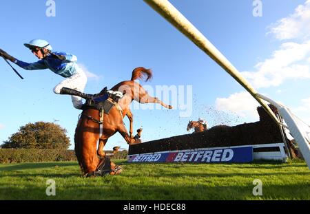 Plumpton, UK. 17. Oktober 2016. Tom Bellamy Teile Unternehmen mit Berry De Carjac an den offenen Graben während der Gewinner Event Services Novices´ Handicap Chase. © Tele Bilder / Alamy Live News Stockfoto