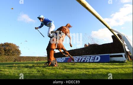 Plumpton, UK. 17. Oktober 2016. Tom Bellamy Teile Unternehmen mit Berry De Carjac an den offenen Graben während der Gewinner Event Services Novices´ Handicap Chase. © Tele Bilder / Alamy Live News Stockfoto