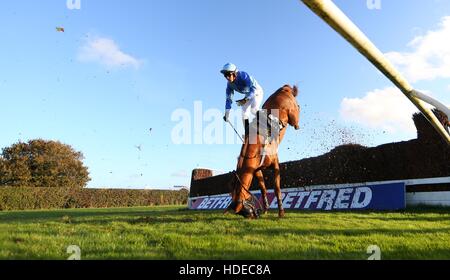 Plumpton, UK. 17. Oktober 2016. Tom Bellamy Teile Unternehmen mit Berry De Carjac an den offenen Graben während der Gewinner Event Services Novices´ Handicap Chase. © Tele Bilder / Alamy Live News Stockfoto