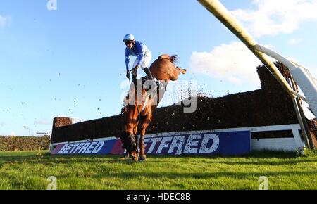 Plumpton, UK. 17. Oktober 2016. Tom Bellamy Teile Unternehmen mit Berry De Carjac an den offenen Graben während der Gewinner Event Services Novices´ Handicap Chase. © Tele Bilder / Alamy Live News Stockfoto