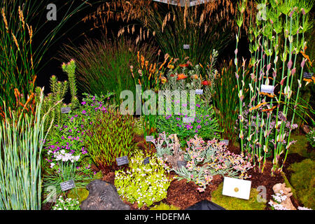 Chelsea Flower Show 2016, Kelnan Pflanzen, Zennor, Penzance, Cornwall, Blume, Skulptur, Gartengestaltung, Ausstellung, fünftägige Veranstaltung, London Stockfoto