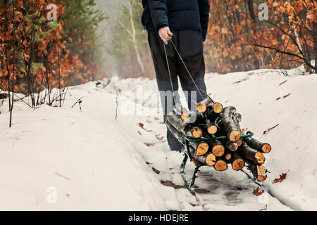 Mann trägt Holz auf einem Schlitten in den verschneiten Winterwald. Stockfoto